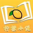 柠檬小说