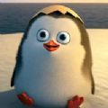 南极乐园养企鹅app