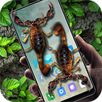 蝎子在手机爬行app