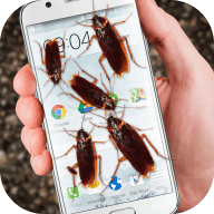 虫子电话的笑话app