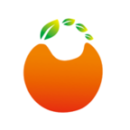 橙子网购助手软件