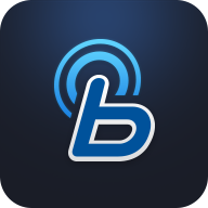 blueLink app