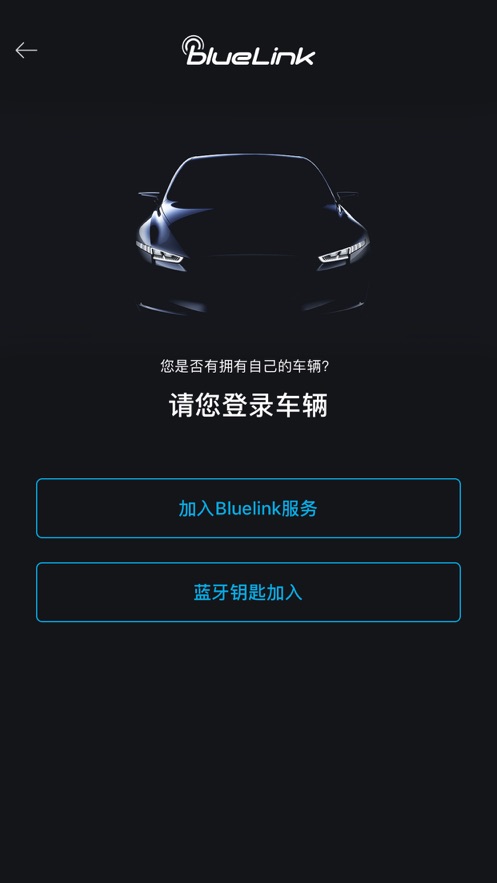 blueLink app4