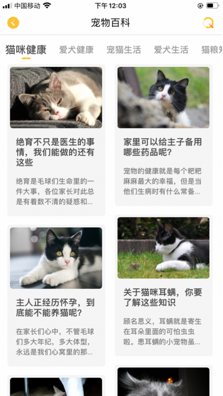 宠居app(宠物服务)4