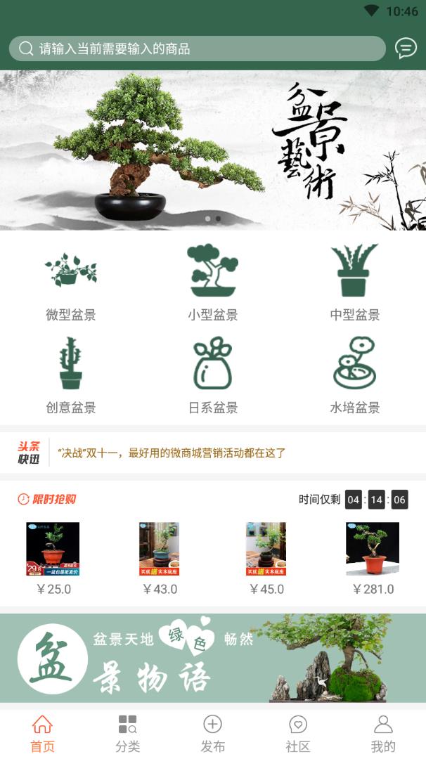 中国小微盆景app2