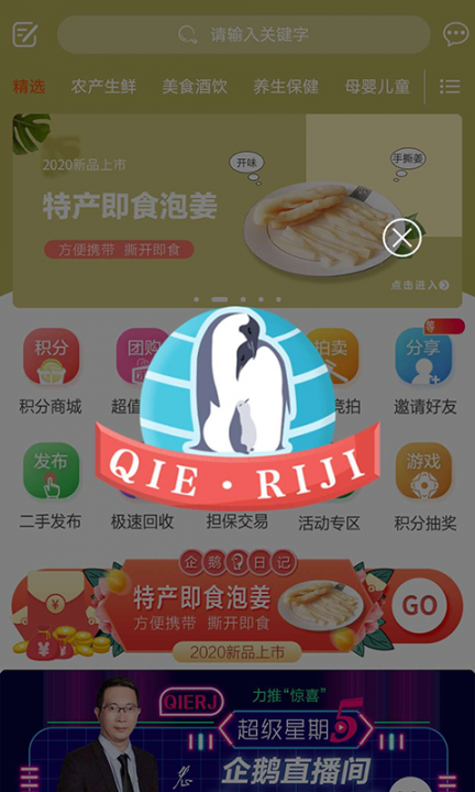 企鹅日记app2