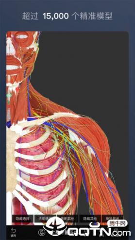 维萨里3D解剖app1
