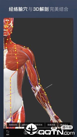 维萨里3D解剖app4