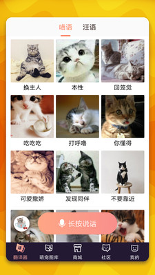 猫语翻译器app2