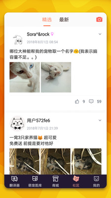 猫语翻译器app1