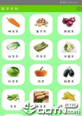 盘云蔬菜1