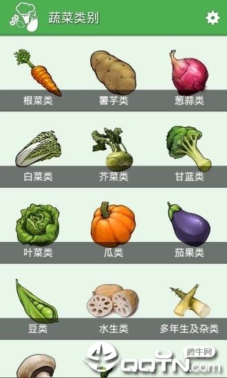 盘云蔬菜3