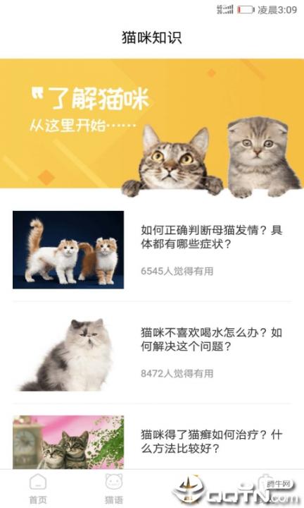 猫咪翻译器app4