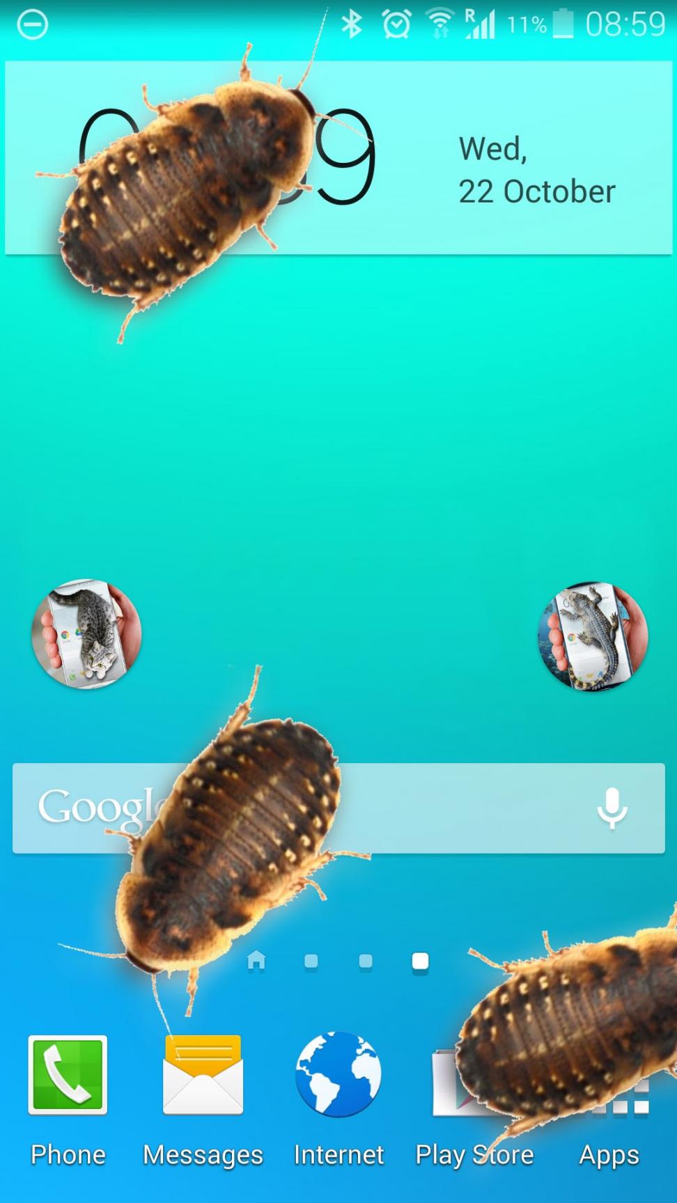 虫子电话的笑话app2