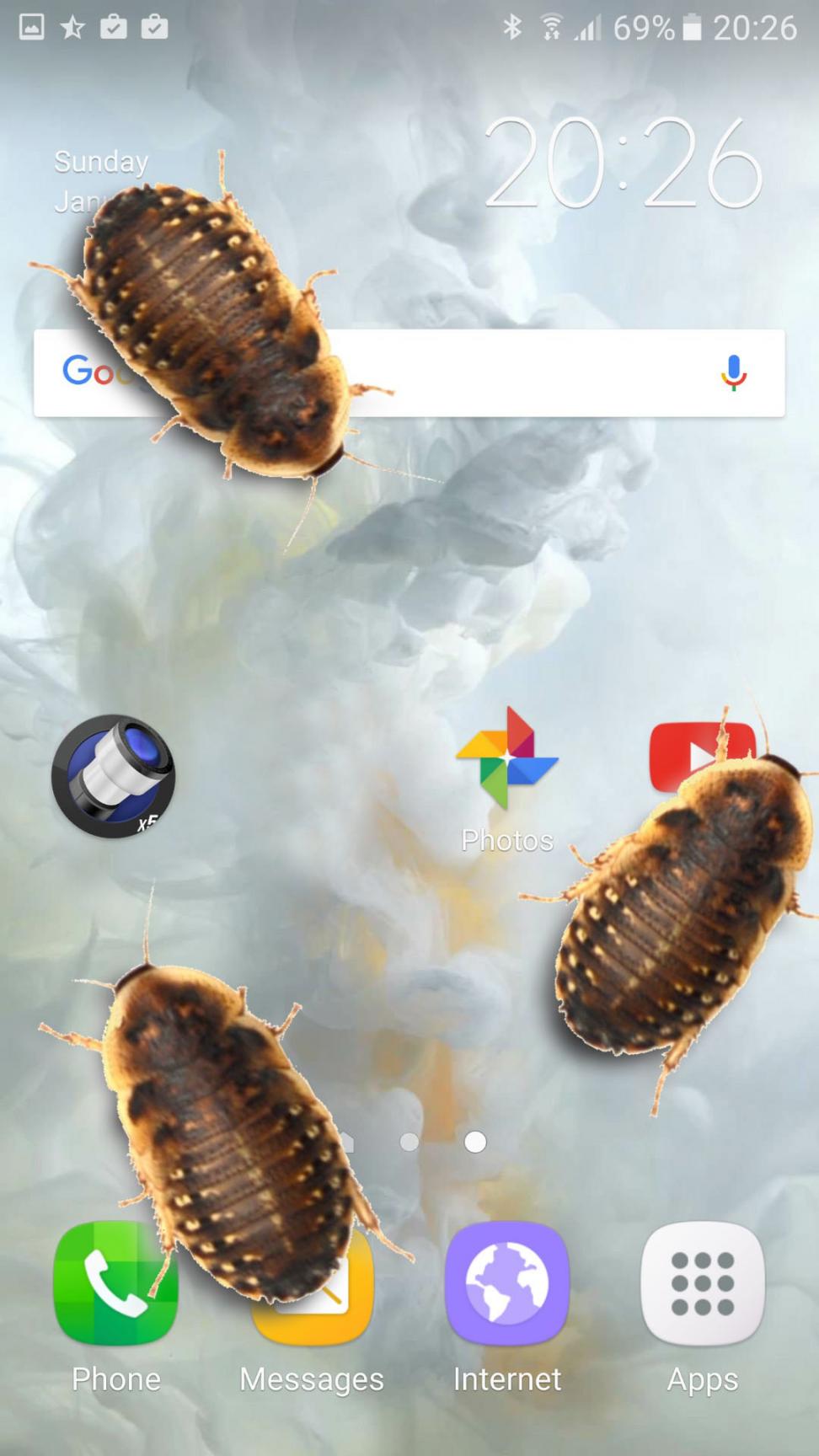 虫子电话的笑话app3