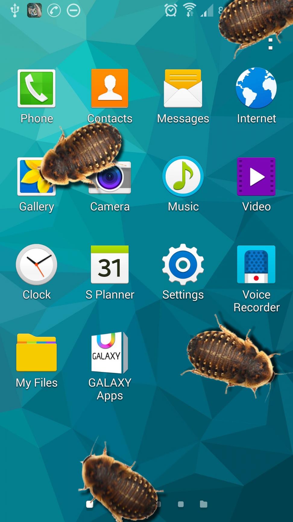 虫子电话的笑话app4