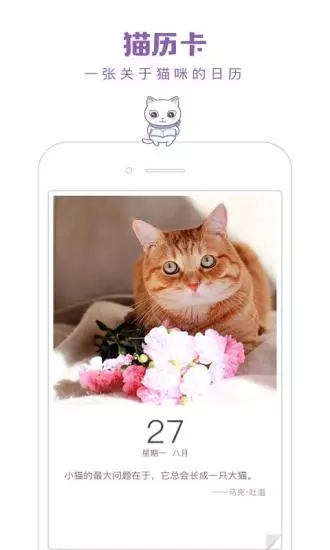 一日猫app2