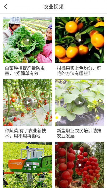 宁农宝app(农业服务)4