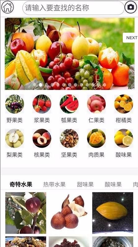 水果百科app4
