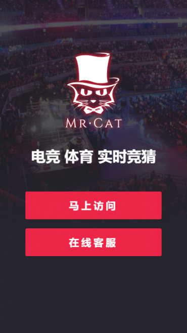MrCat电竞4