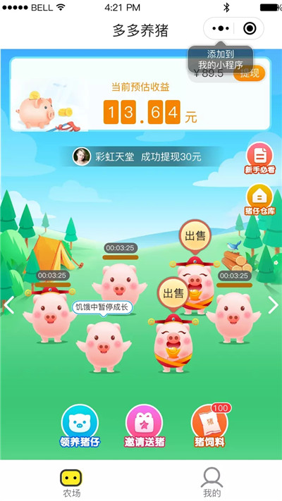 多多养猪app1