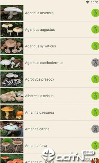 Mushrooms app1