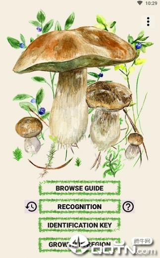 Mushrooms app4