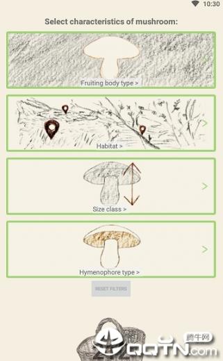 Mushrooms app2