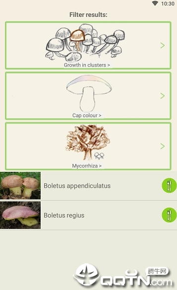 Mushrooms app3