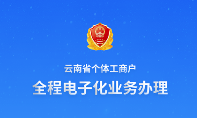云南个体全程电子化app