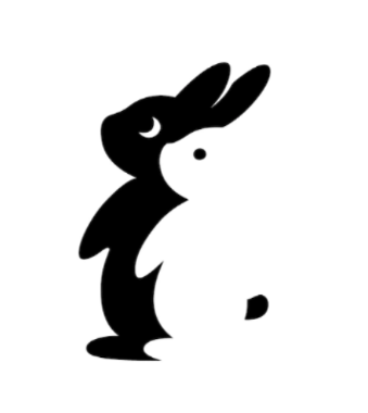 黑兔白兔闲置app