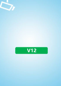 V12监控app