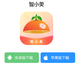 智小美app