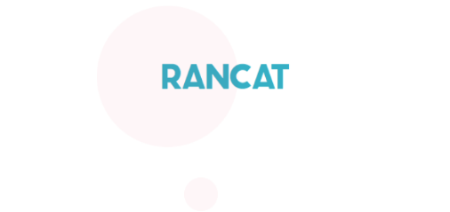 RanCat聊天软件